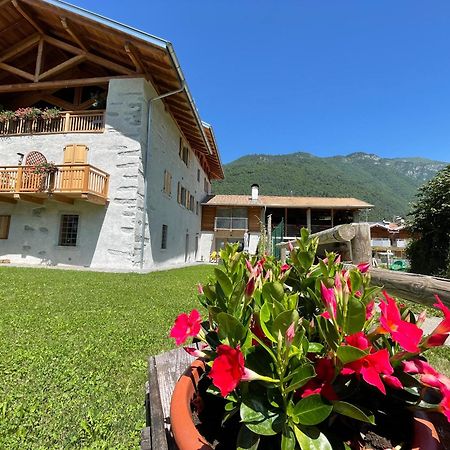 La Lesivera Bed And Breakfast Tione di Trento Exterior foto